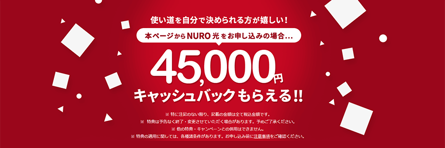 NURO光のキャッシュバックサイト